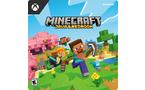 Minecraft Java and Bedrock - PC