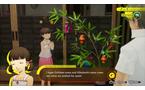 Persona 4 Revival - Xbox Series X